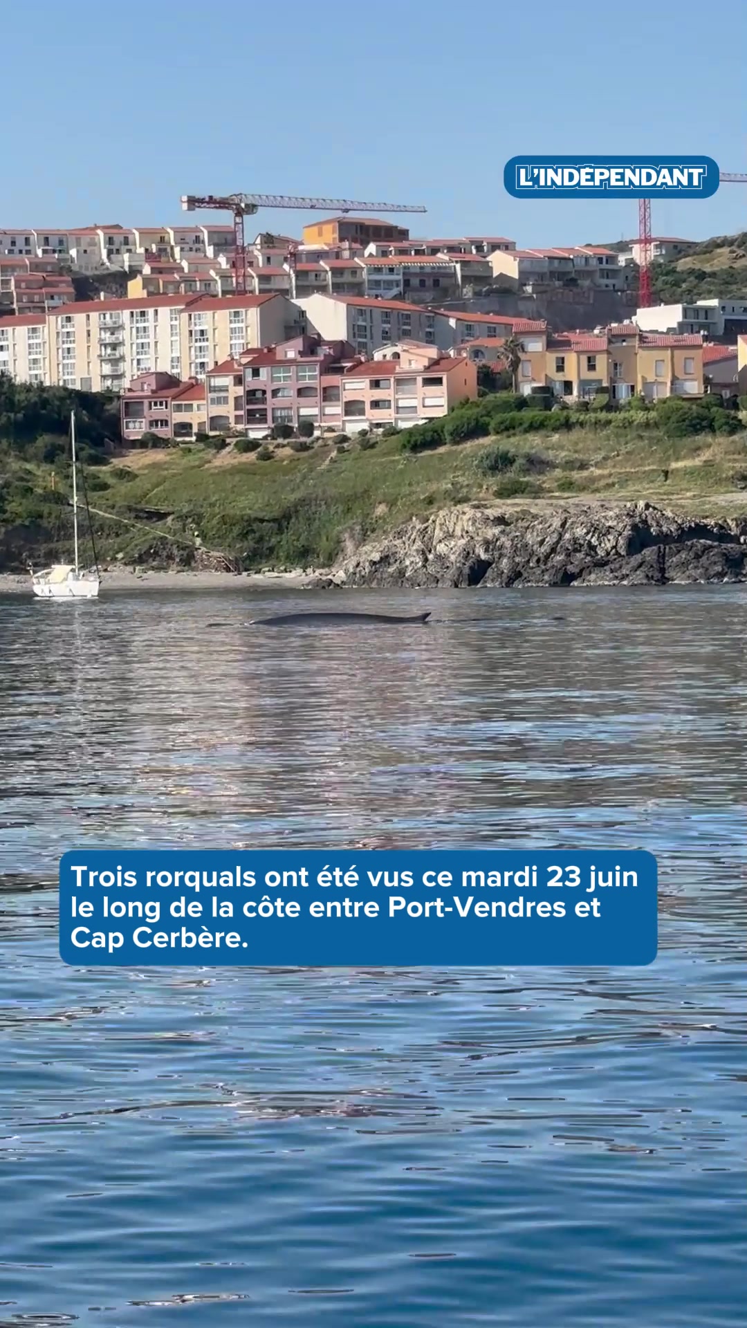 @L'Ind&eacute;pendant
