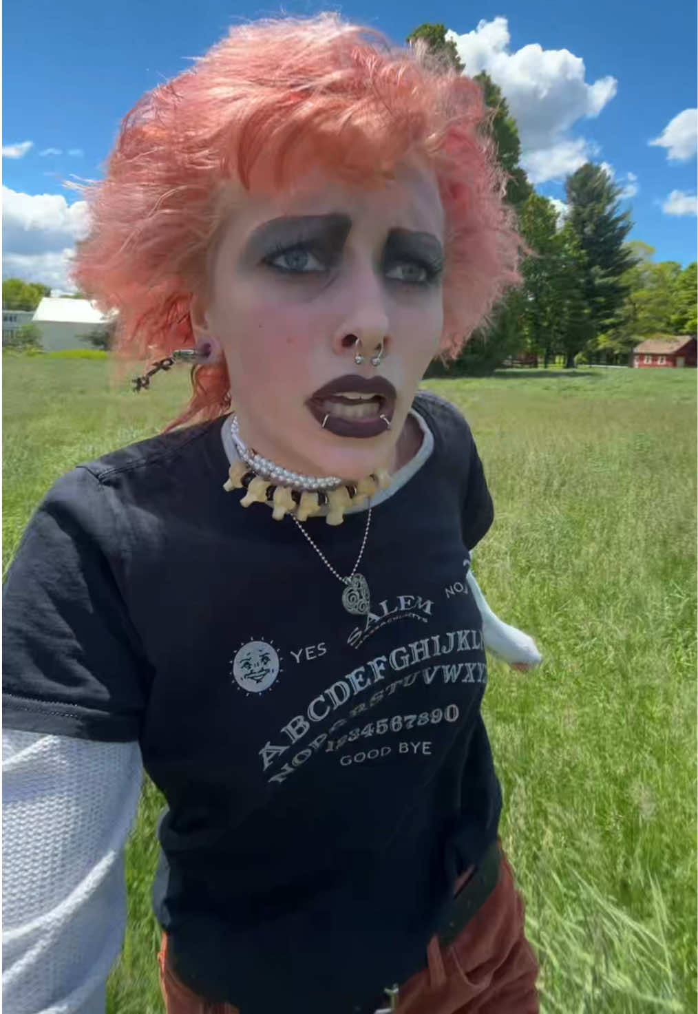 @Bizarrebarracuda