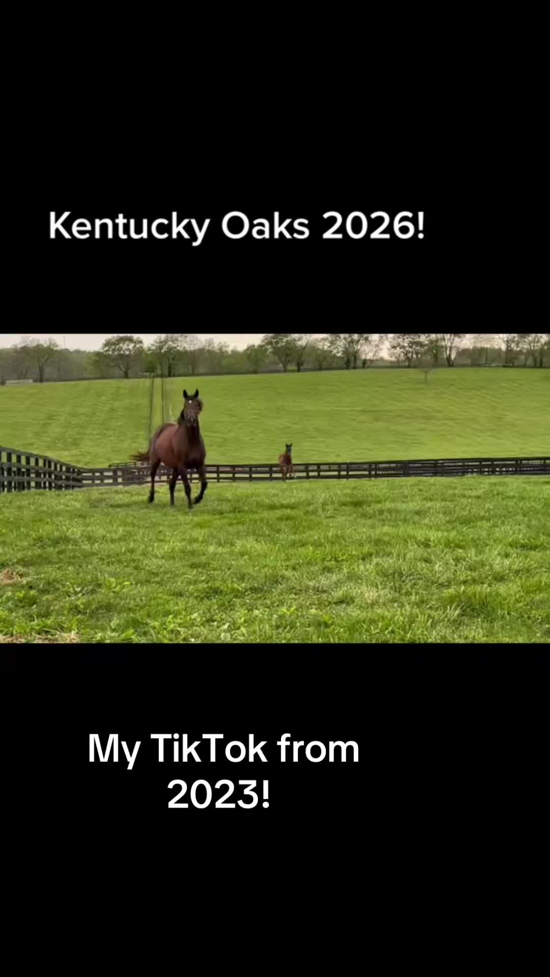 @MesingwFarm