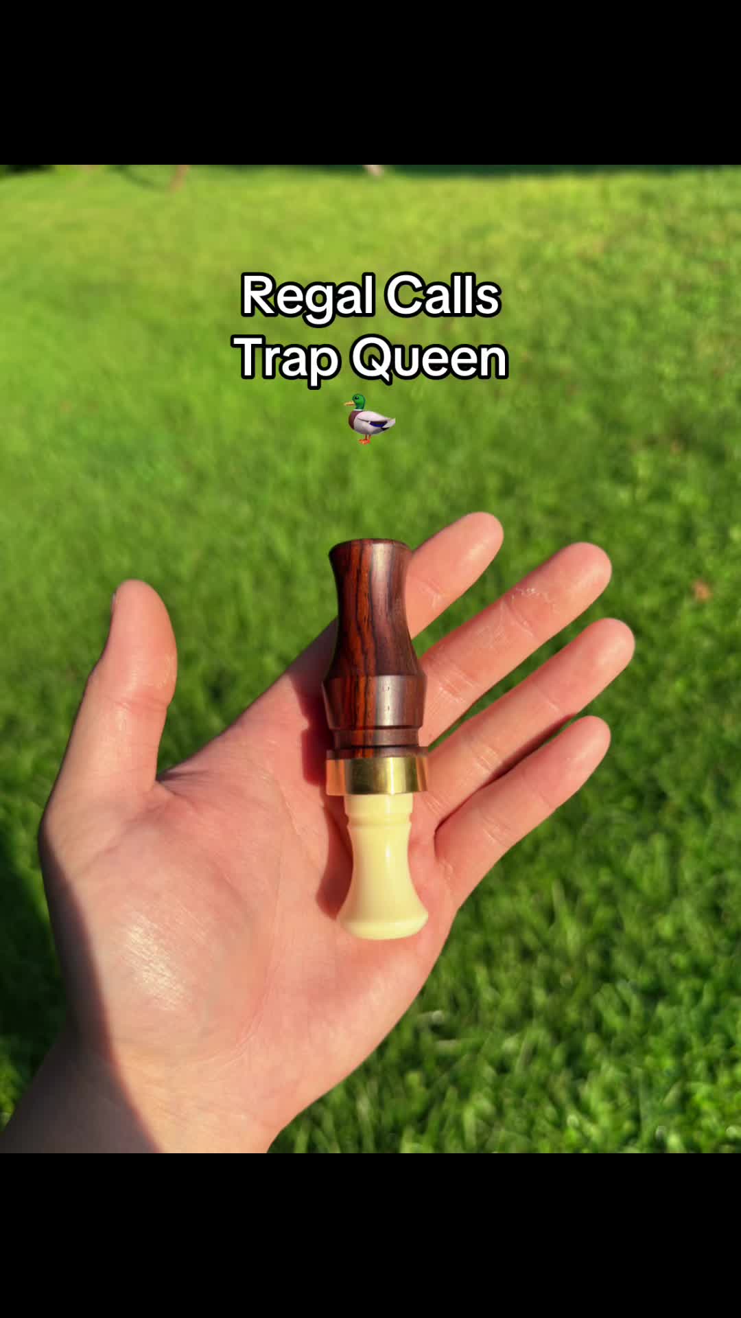 @Kevin - TheOutdoorCollection