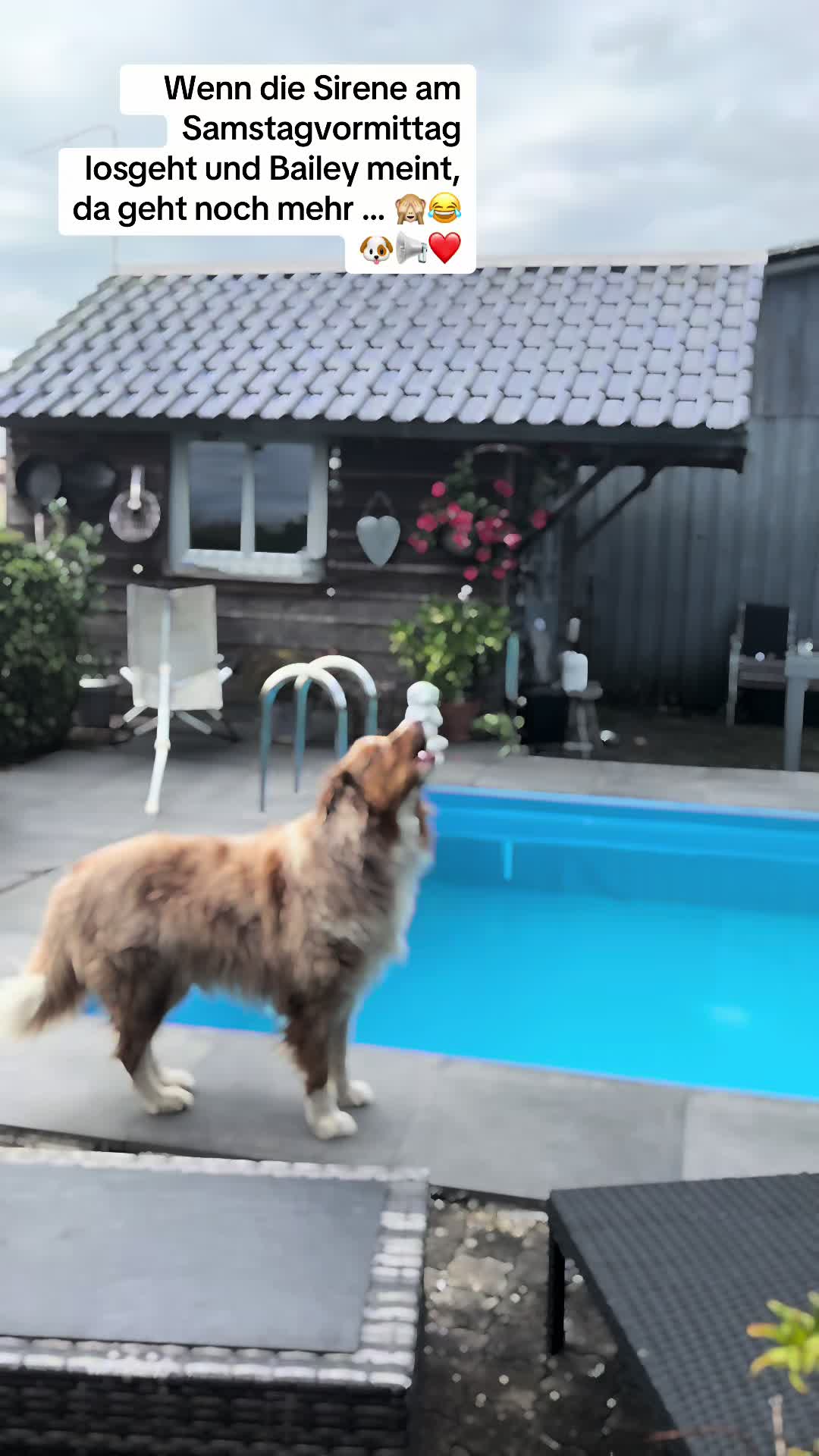 @Elke Kerscher