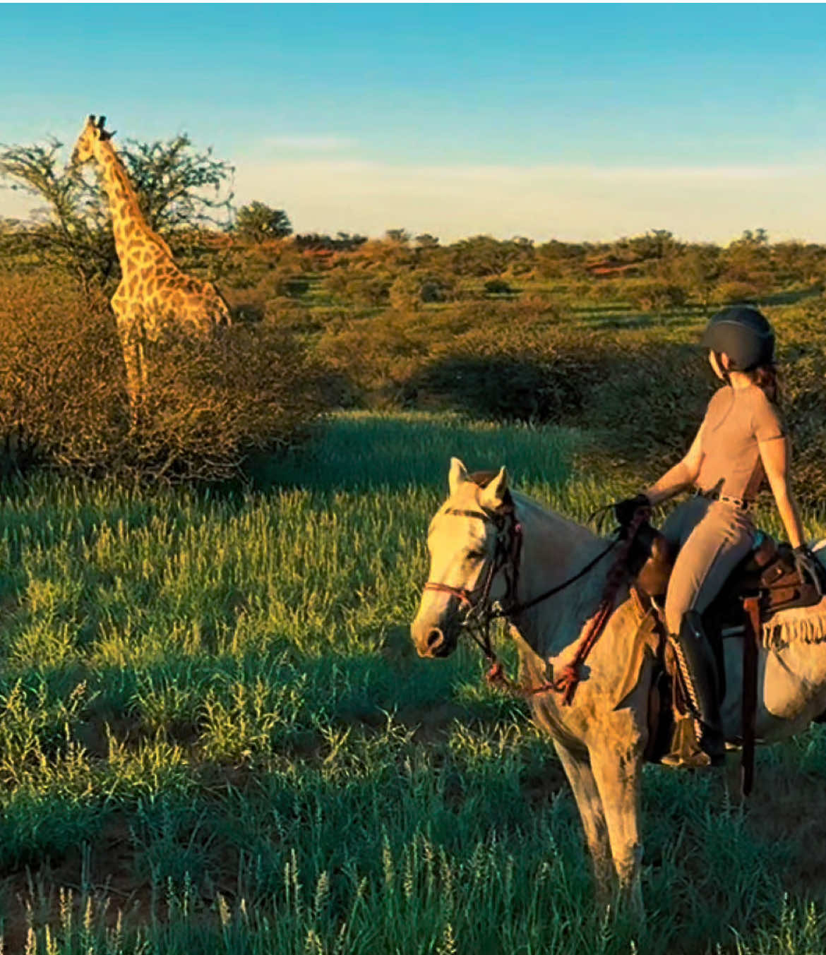 @Hoof & Travel 🐴🌍🐘