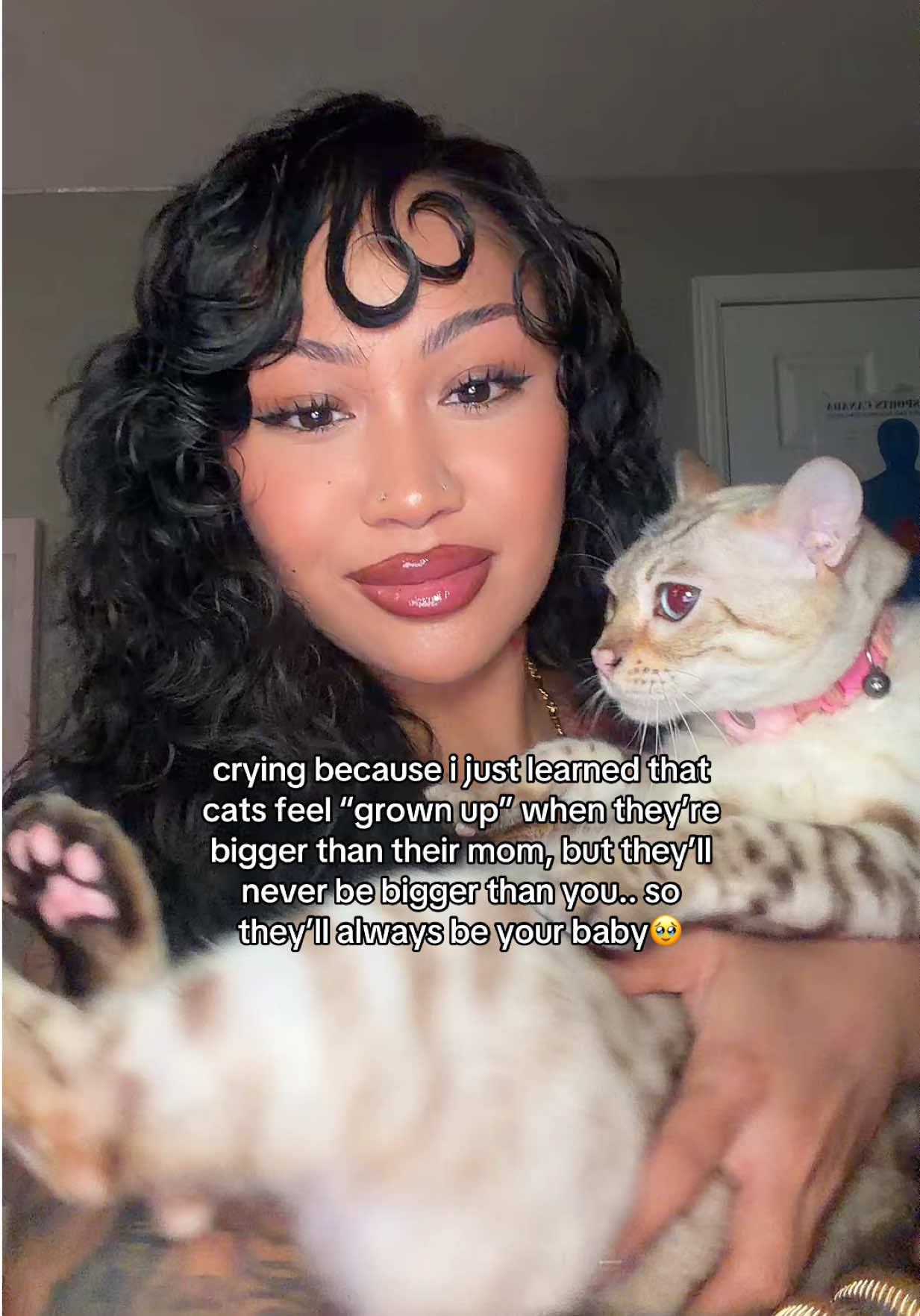 @Mirajane The Bengal🐾