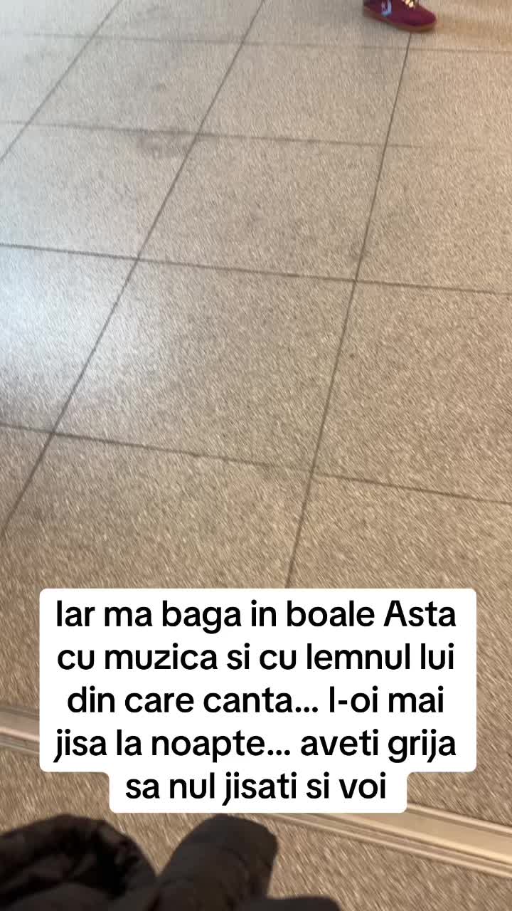 @anisoaradelatara
