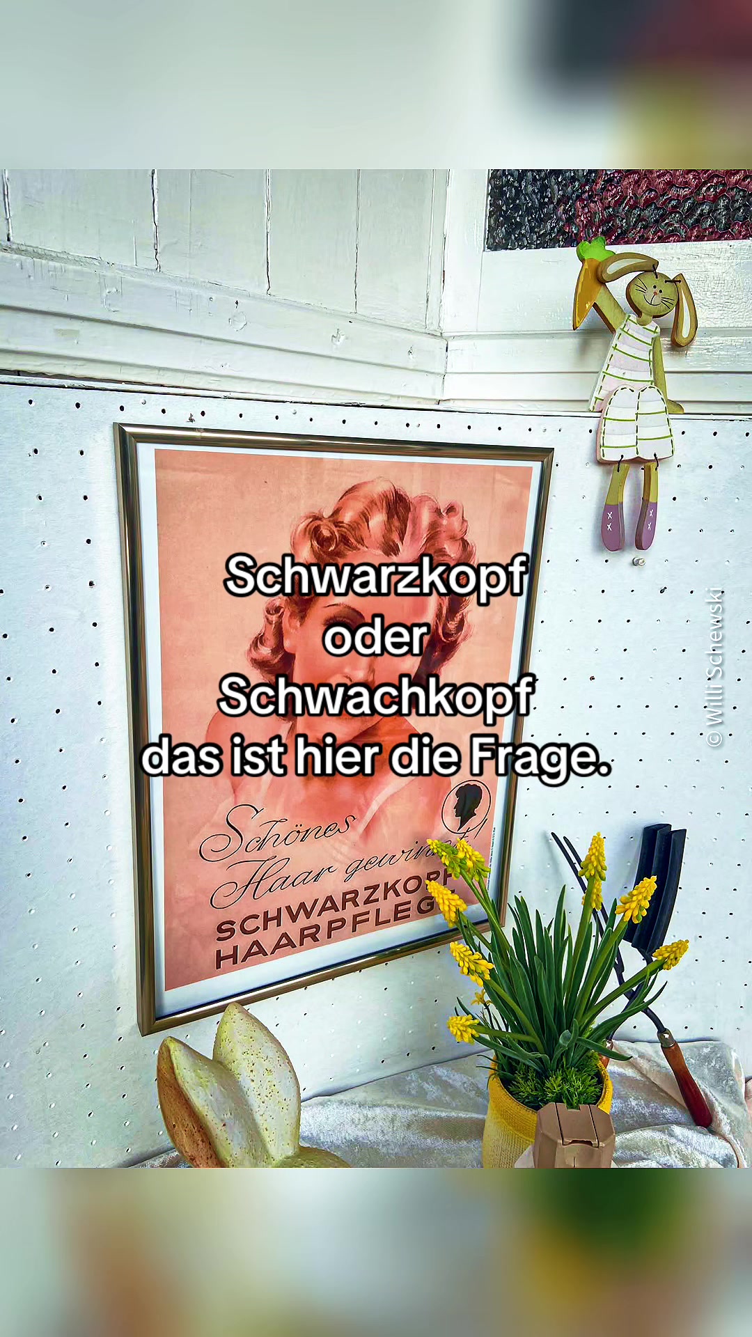 @Schleswig-Holstein pur