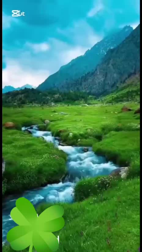 @إلياس الشامي