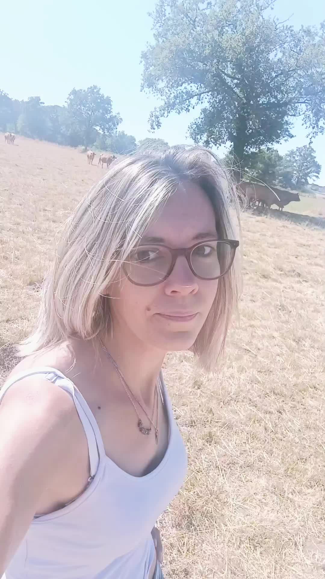 @Ludivine 🪶🐶🐮