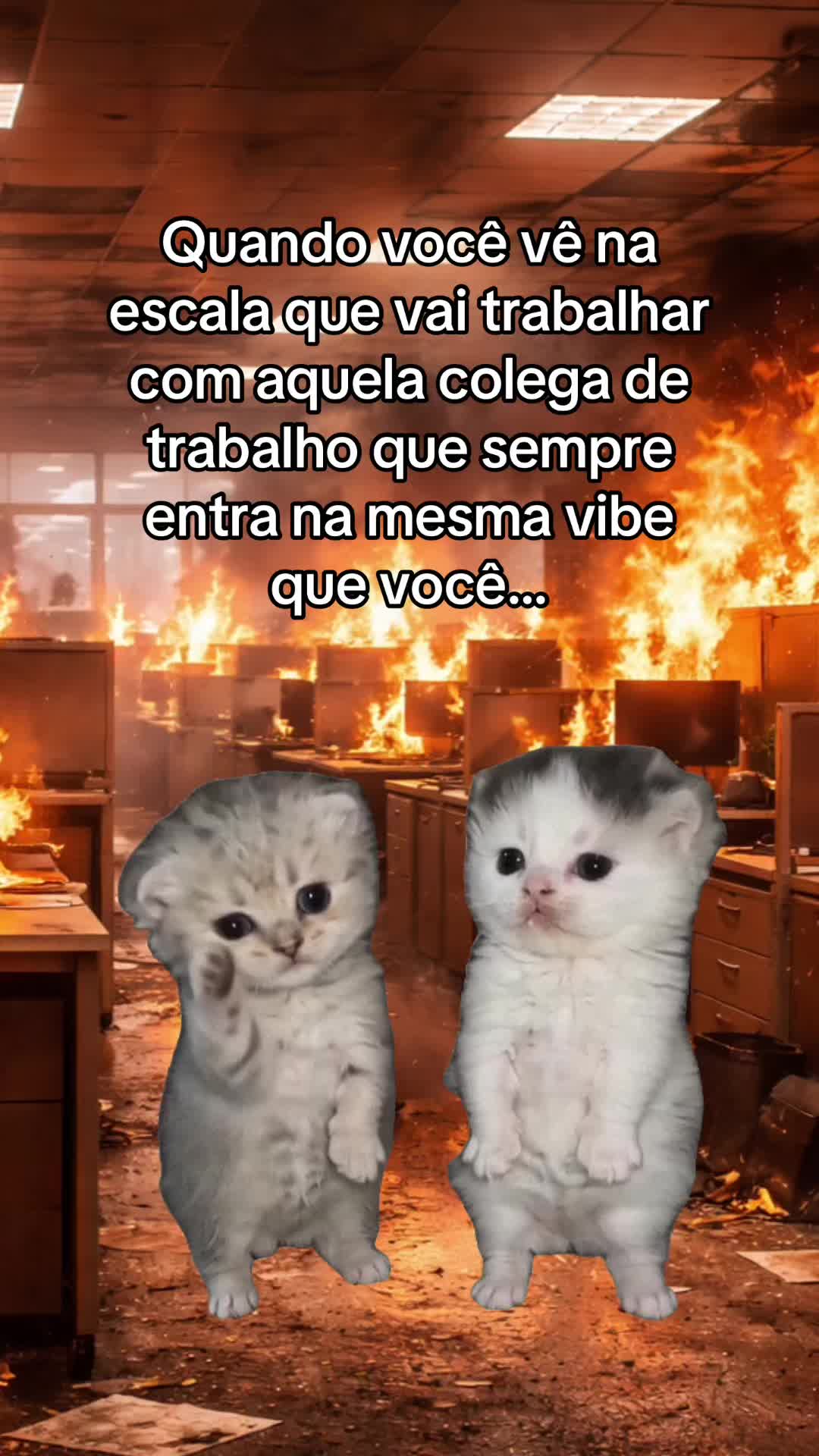 @tababadeira