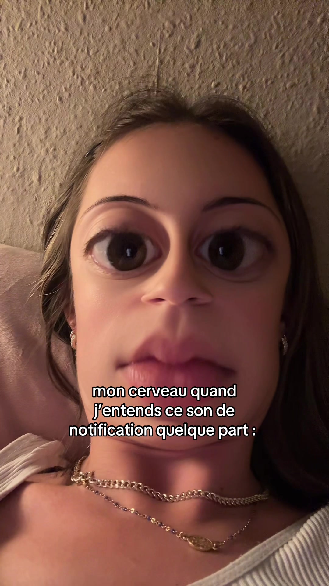 @elpolaklyd
