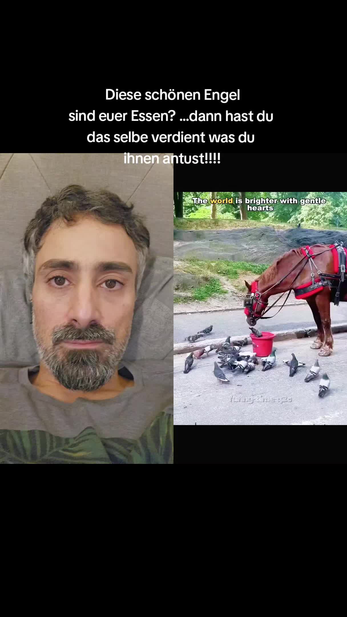 @VeganerTerrorist