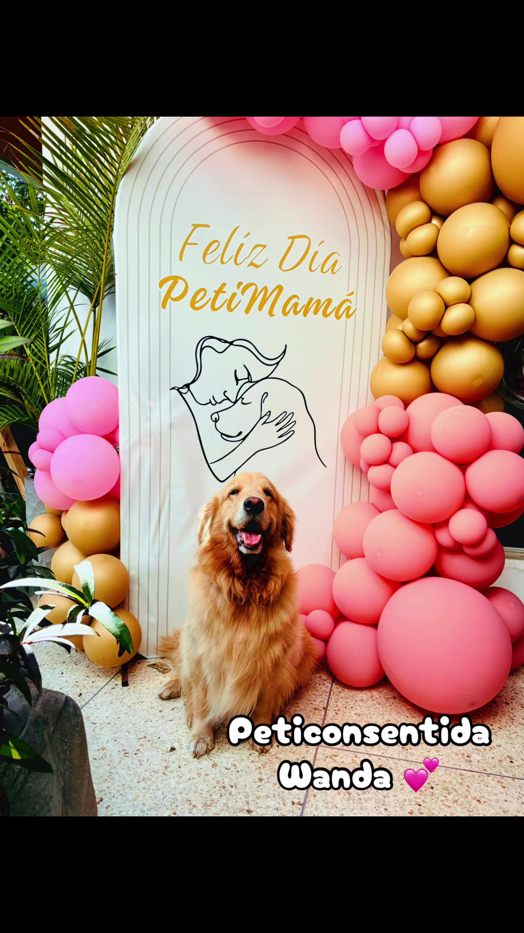 @🐾 Petisos 🐾