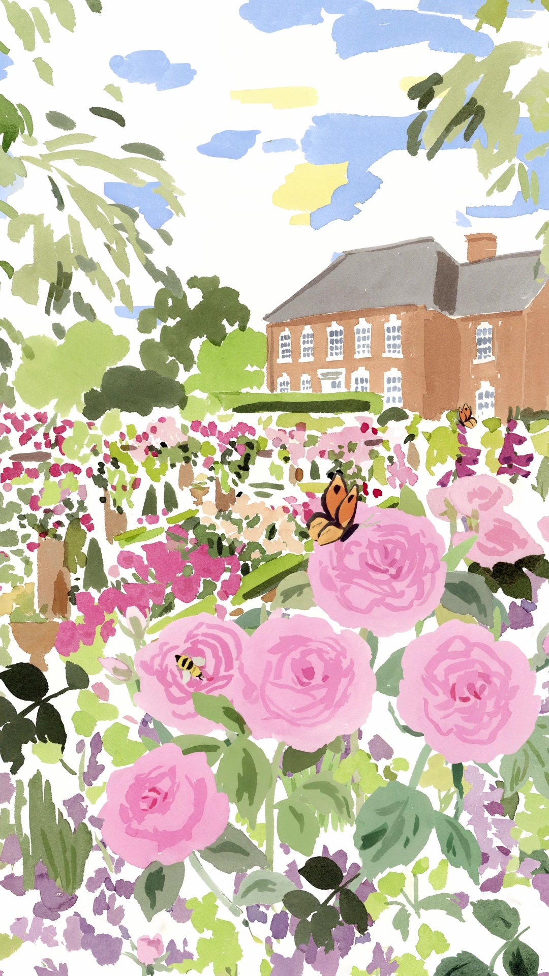 @David Austin Roses