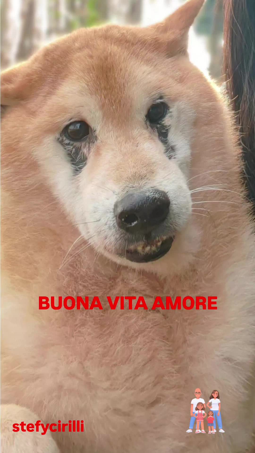 @Stefy Cirilli