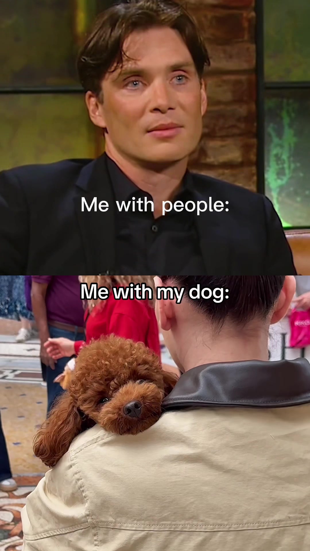 @Two & A Half Poodles | Dog Mom