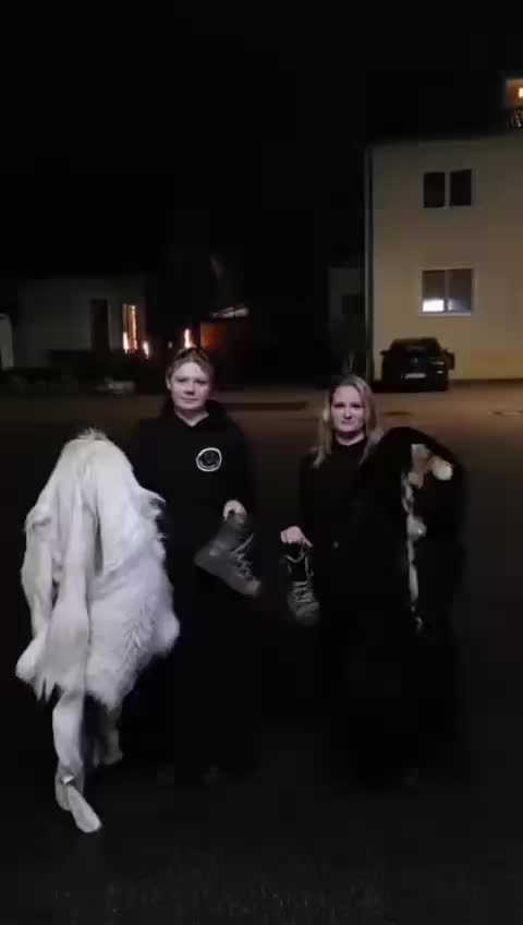@ice.fox._