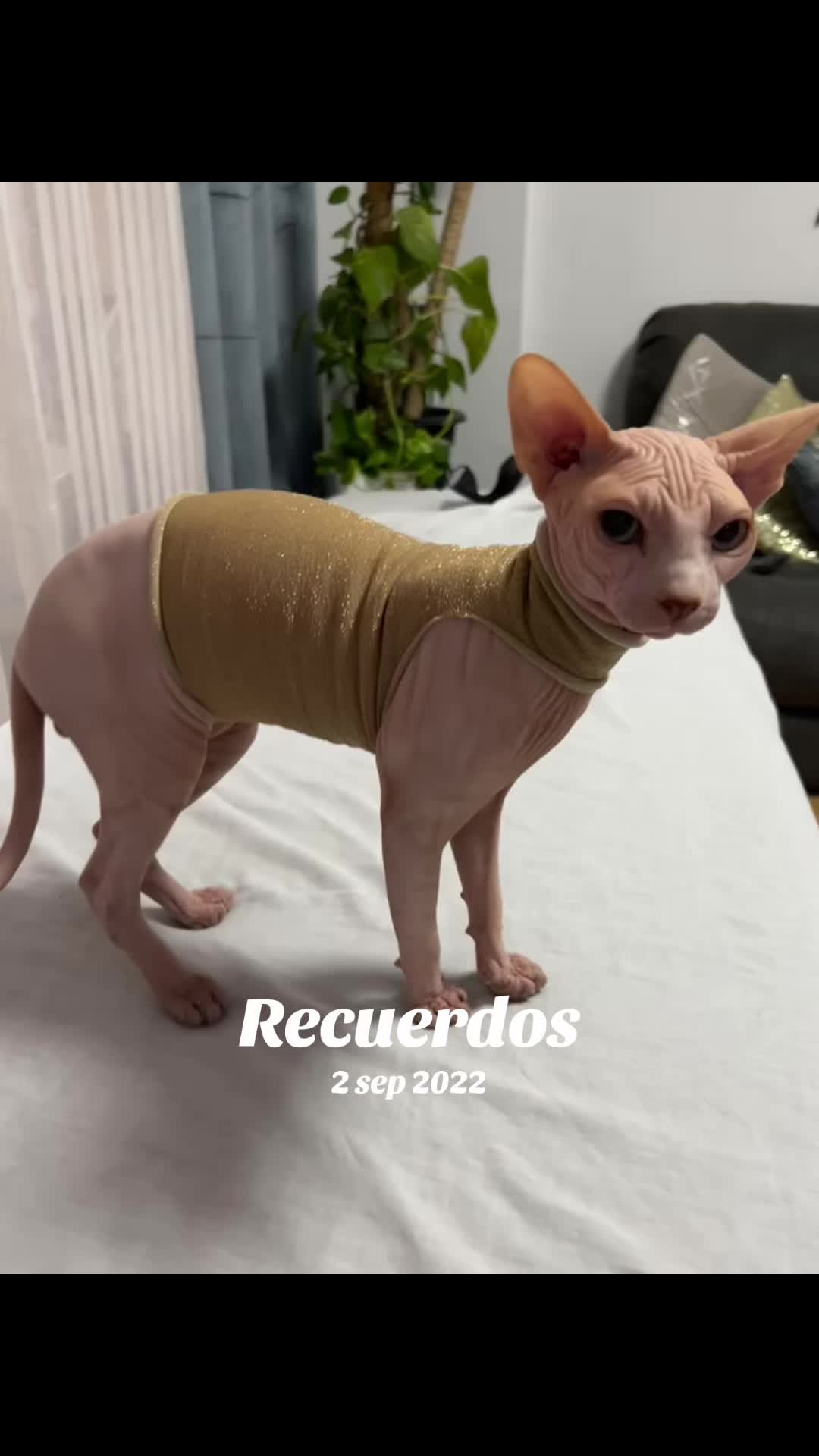 @Tania Tania