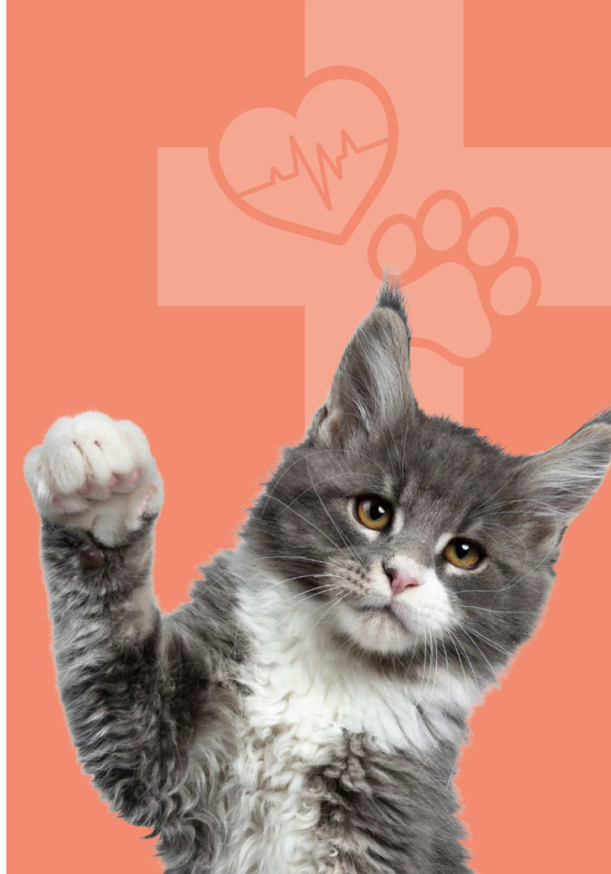 @Affiliated Vet