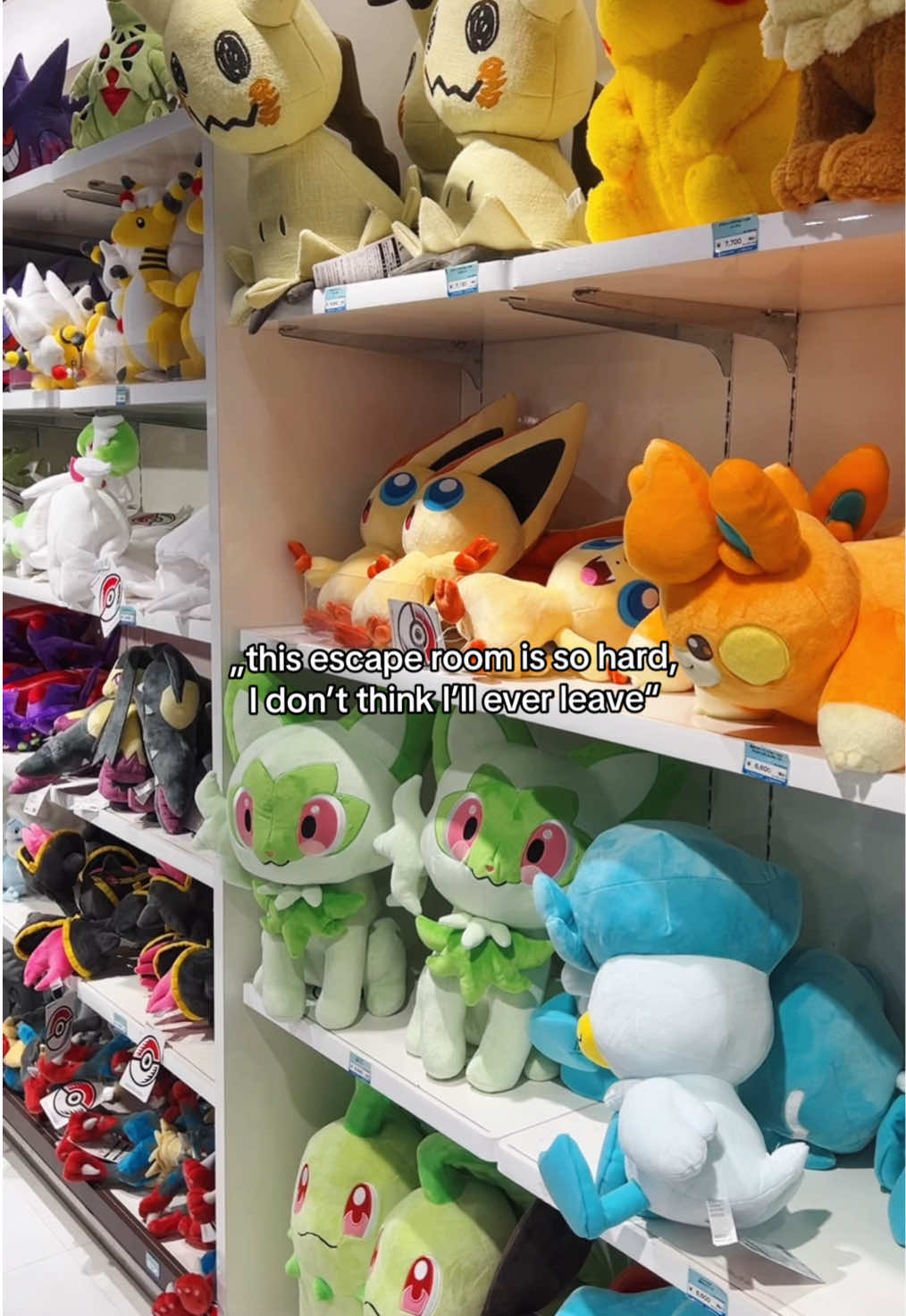 @Neko | Pok&eacute;mon Collector