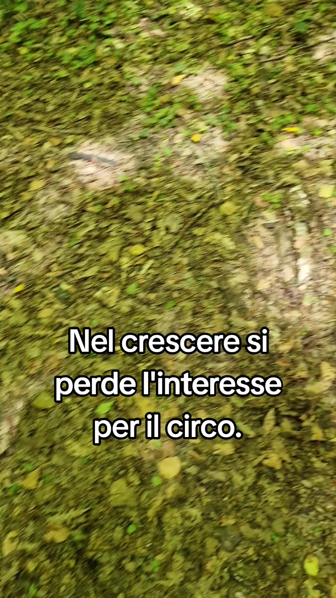 @Antonio