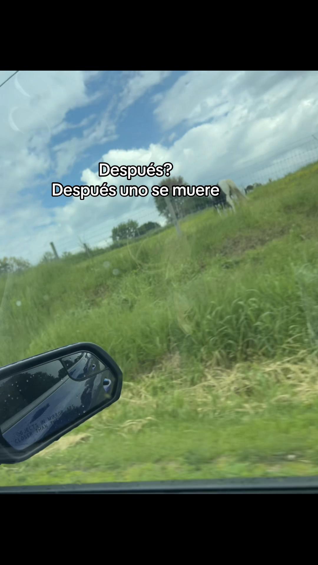 @luzgomez🇭🇳