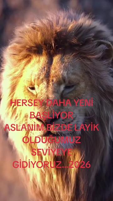 @BORDO BERELI ASLAN KRAL1
