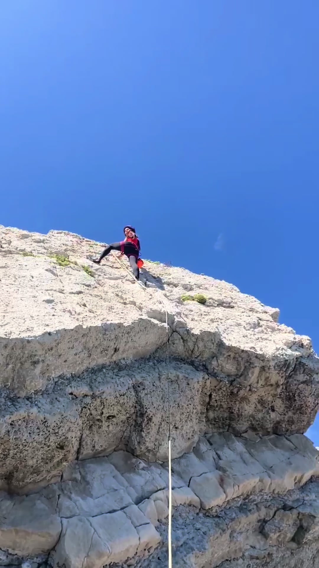 @alispidermonkey🏴