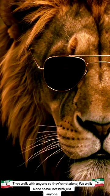 @🇬🇧G🦁GESSI/HASHIMI🦁🇬🇧5