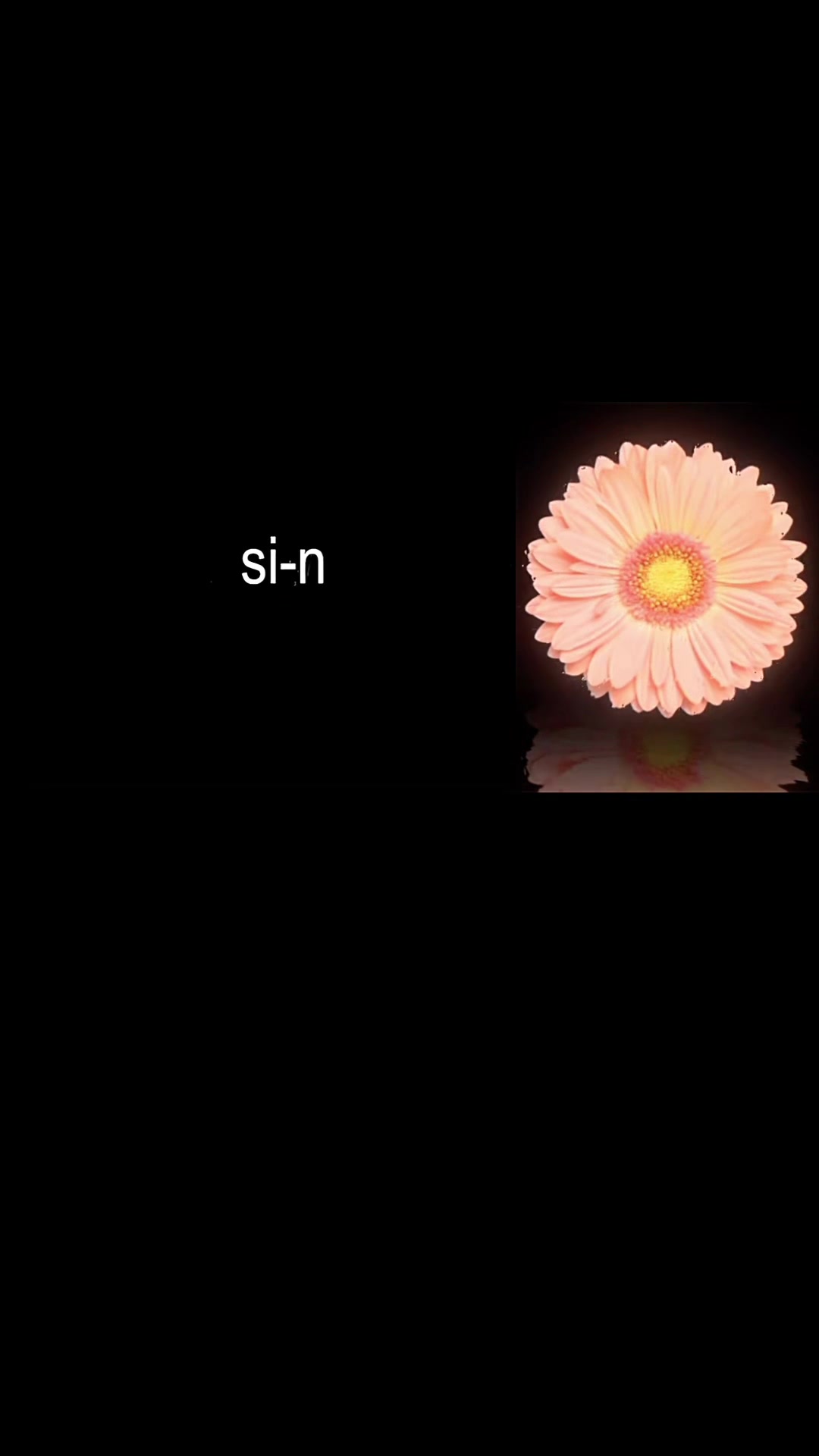 @sergiu_valentin6