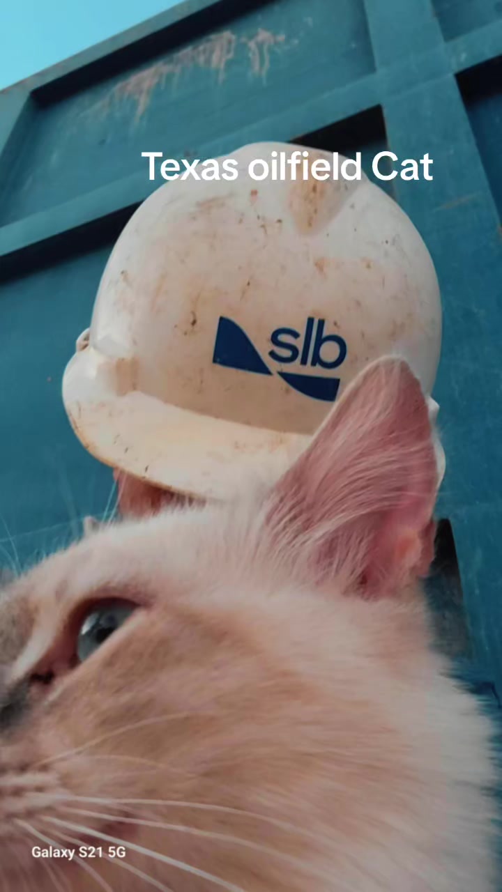 @Drilling & Oilfield