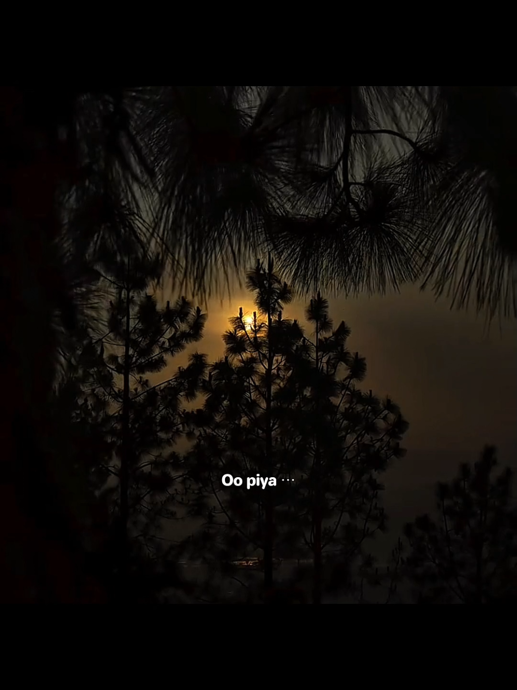 @𝐉 𝐀 𝐃 𝐈 🥂
