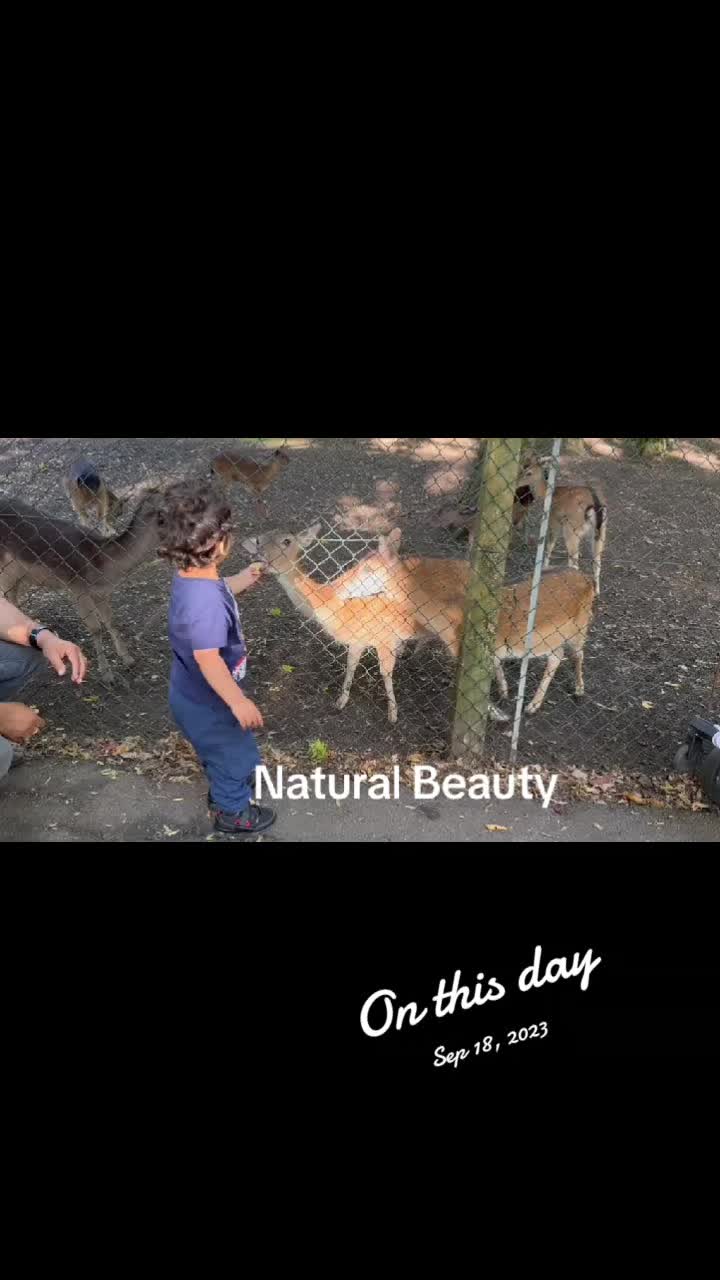 @AzlanAndAmaan