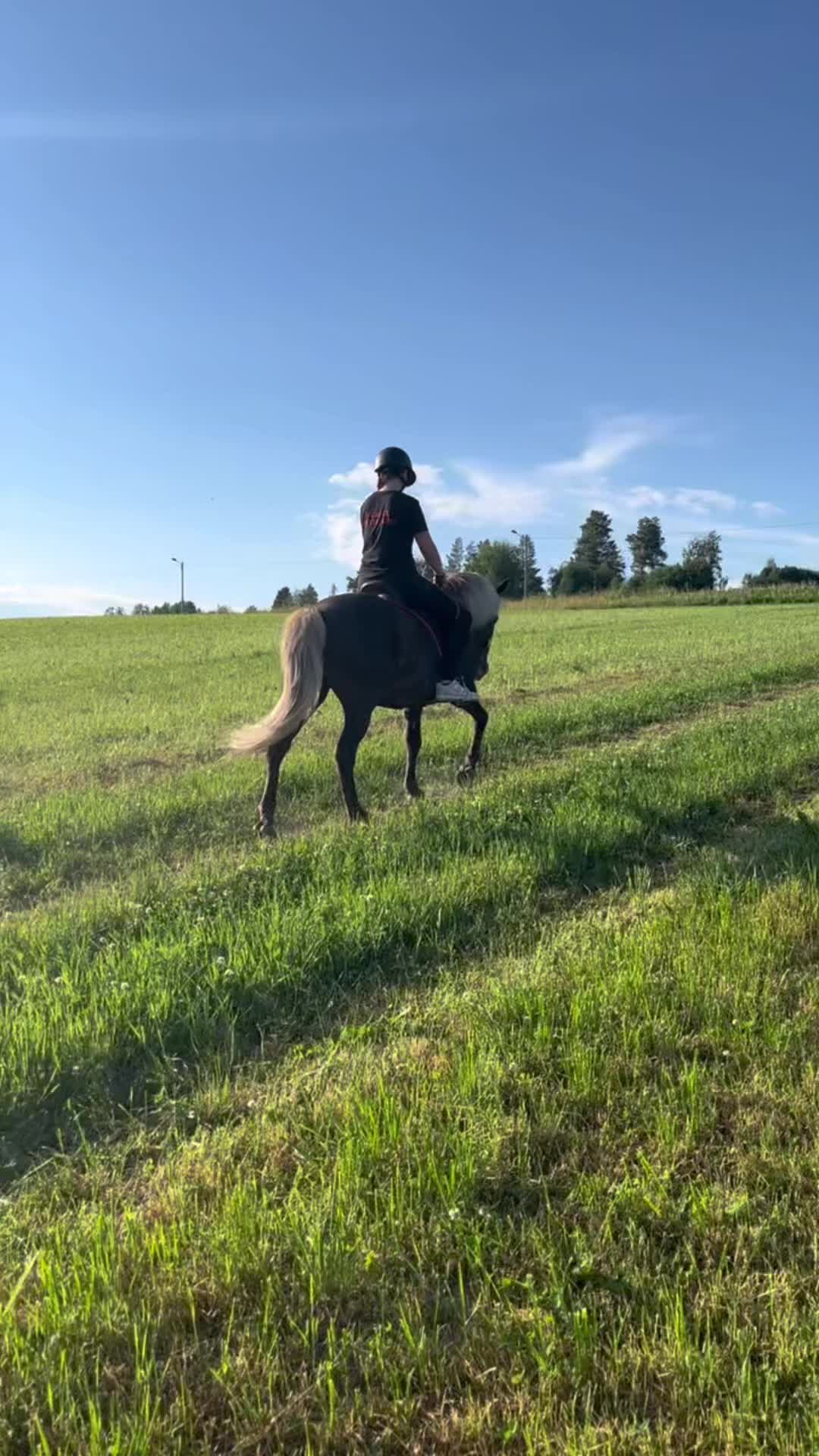 @kerstin🐴