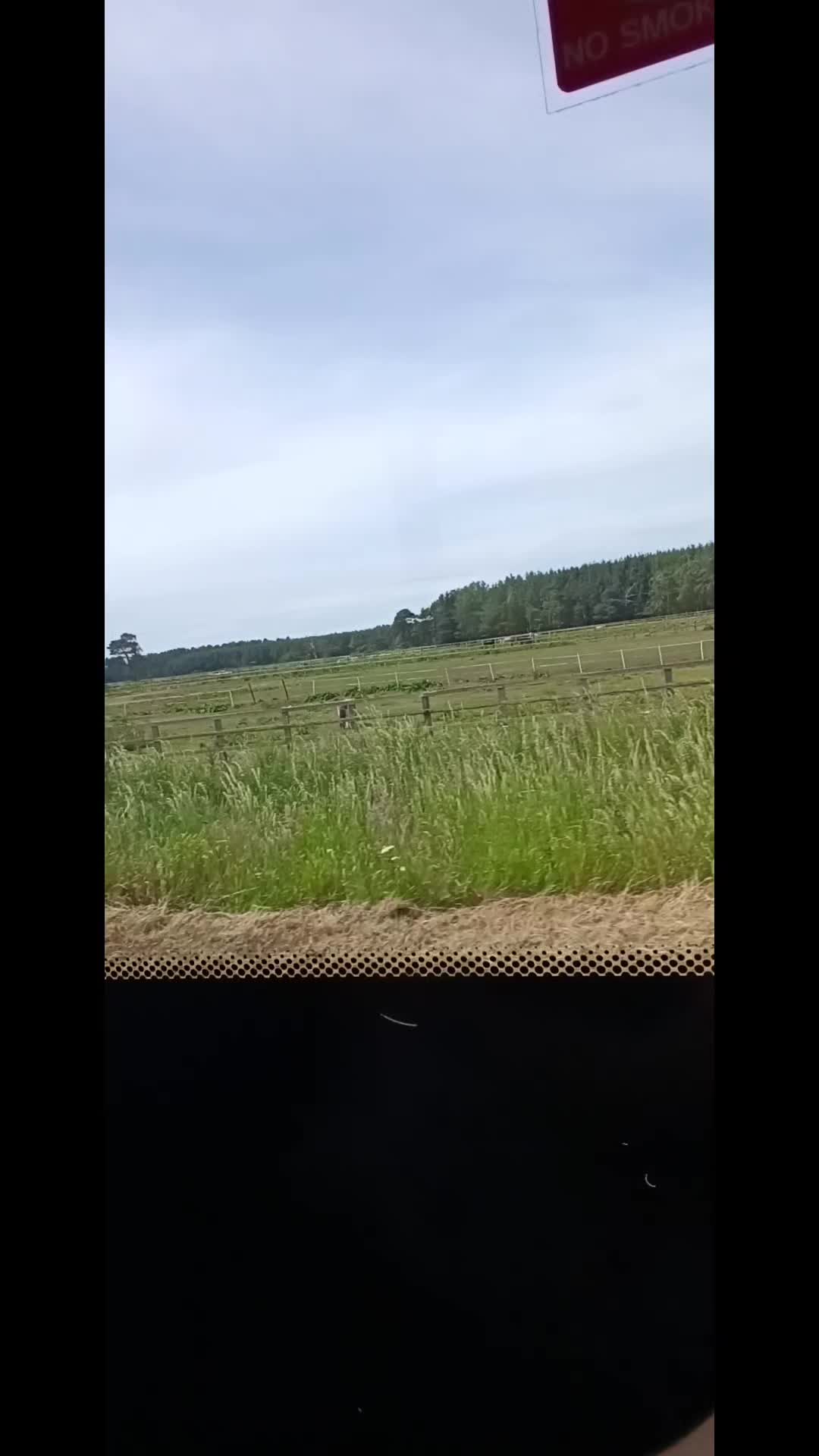 @AutoNina
