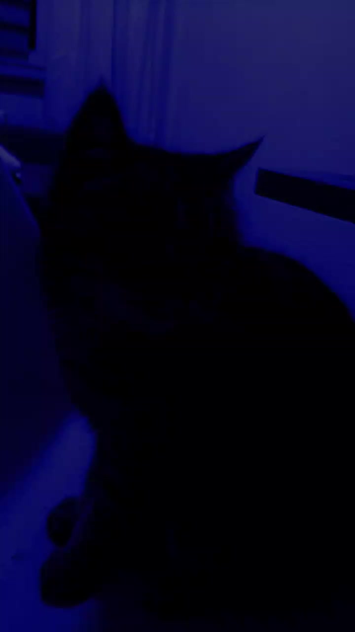 @🚀🚀