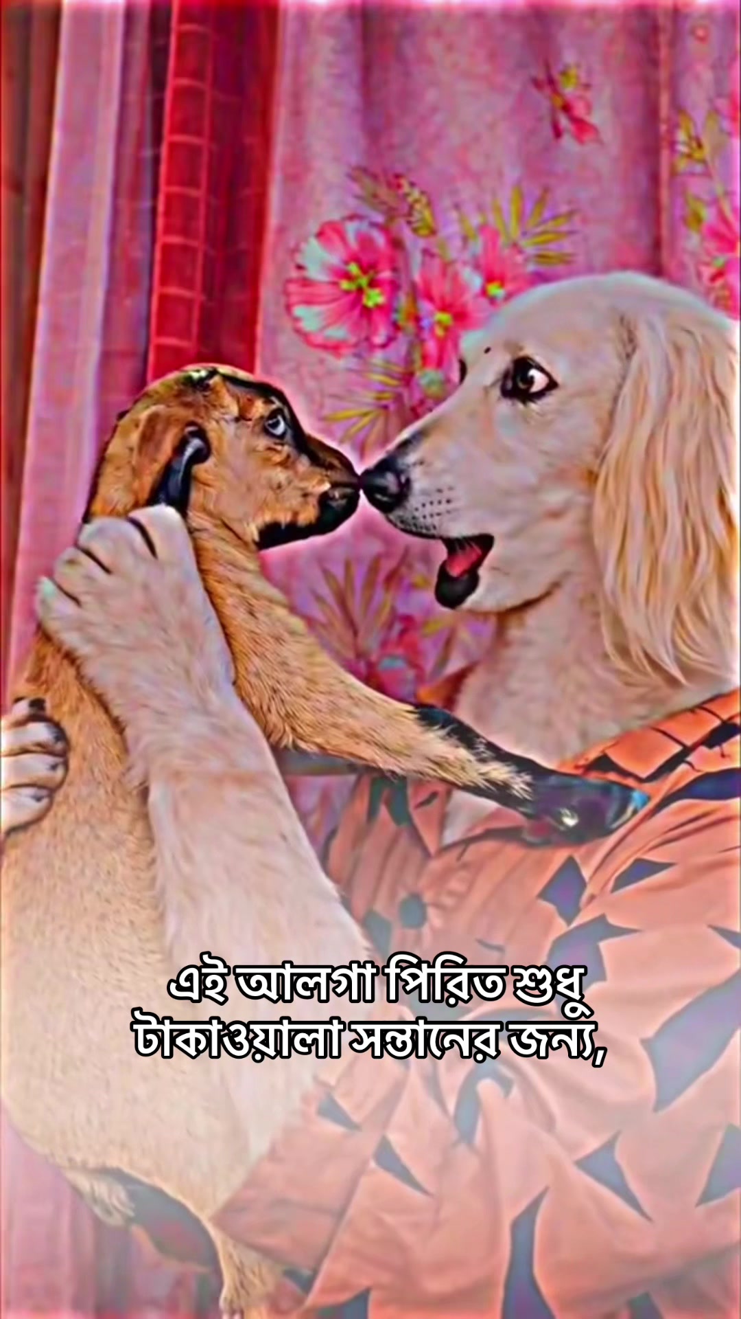 @Khan