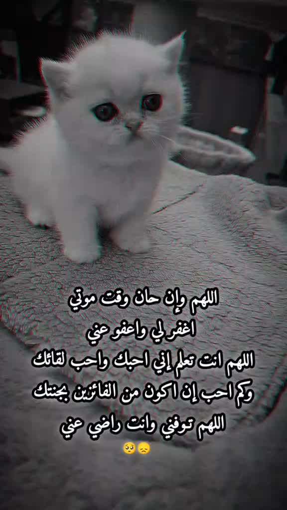 @عاشـقتᬼ❥᭄🦋᭄❥القرآن🦋