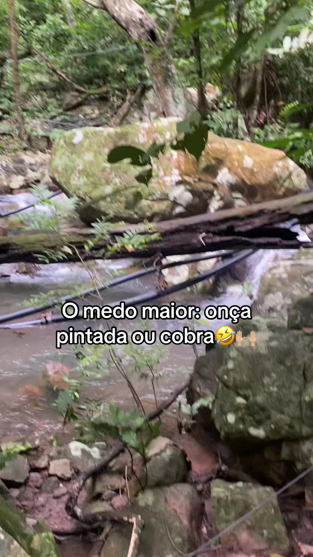 @Thay Soares
