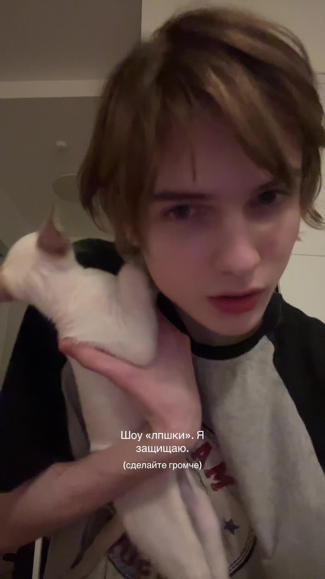 @дигримис