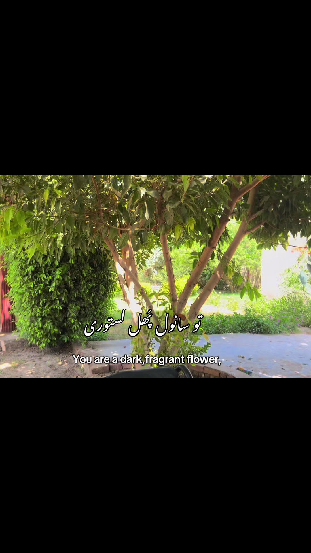 @ch..muneeb2