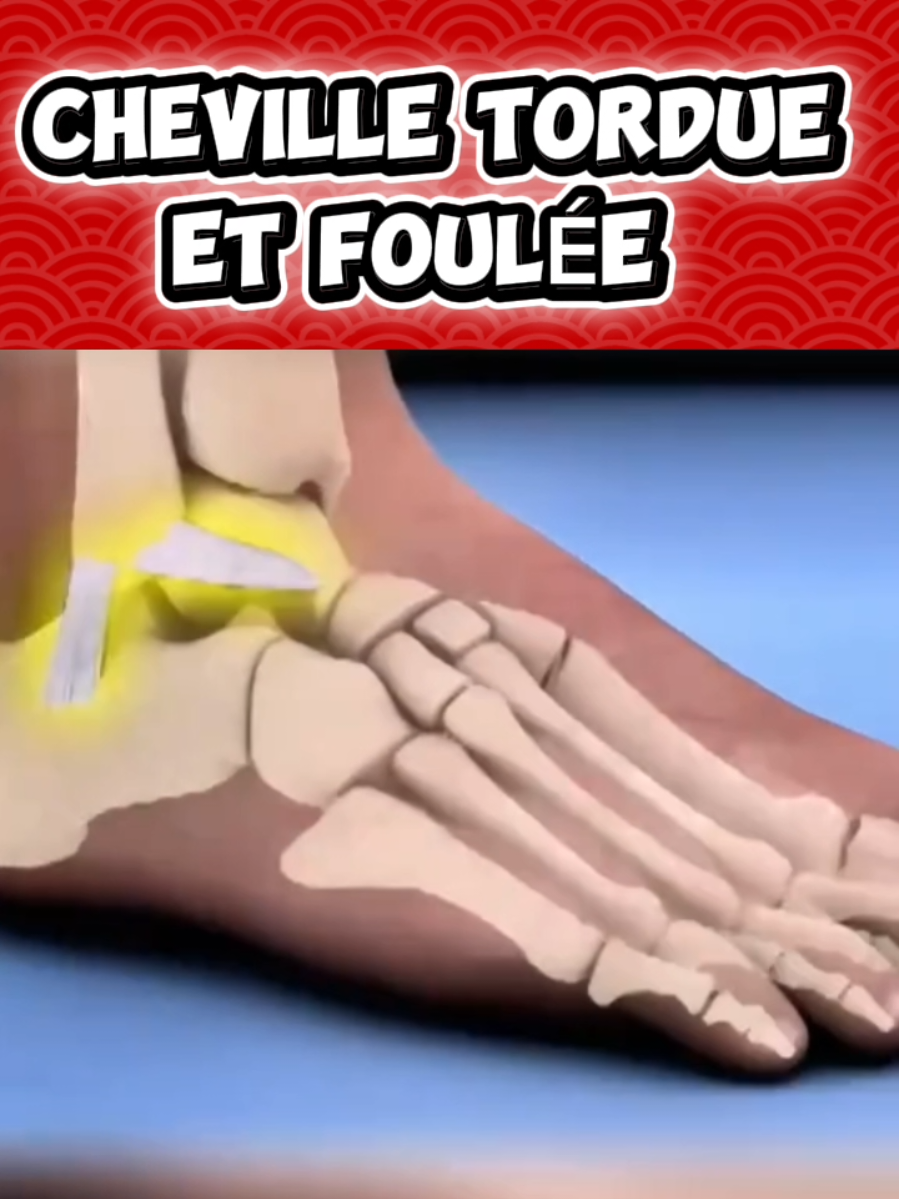 @Docteur Shepherd