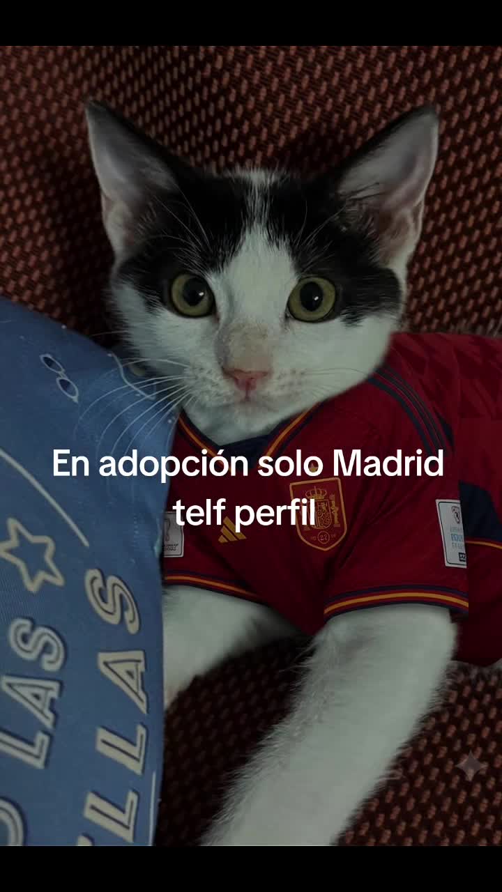 @Ronporsiempre