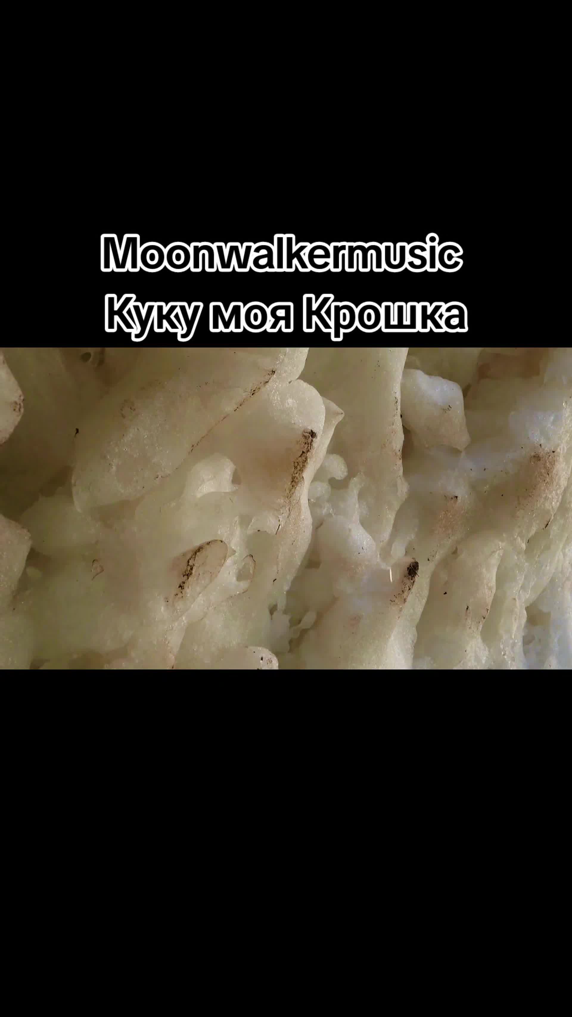 @moonwalkermusic