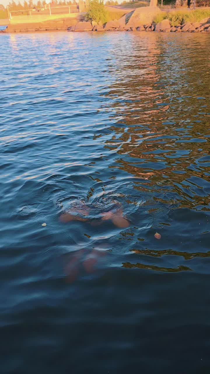 @Tasnia/Tasu🇸🇪