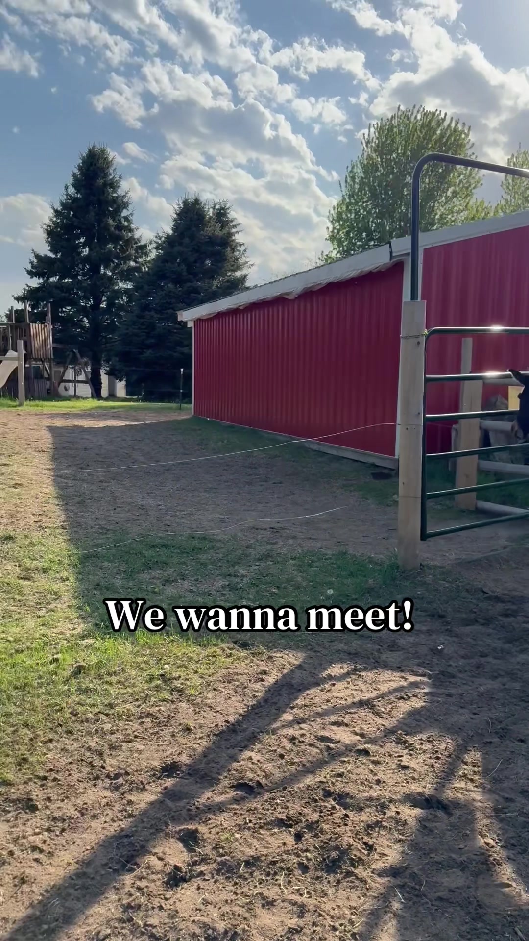 @Safe Place Pastures, Inc.