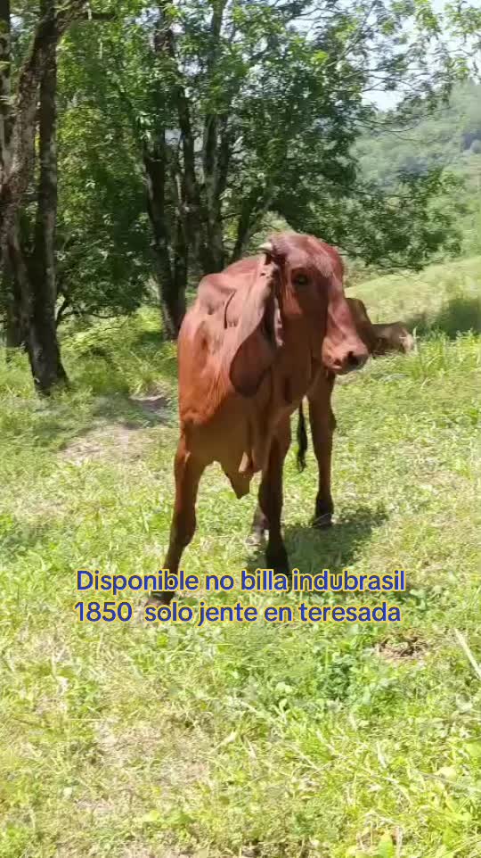 @Rancho Lopez Lopez