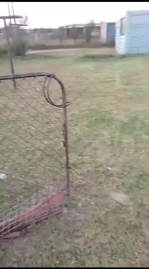 @ChampopoRocketsHardwoker