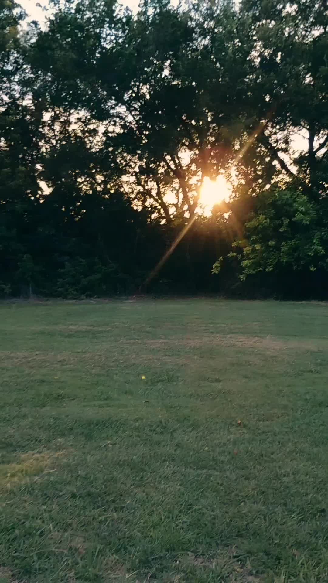 @Amandavx1921