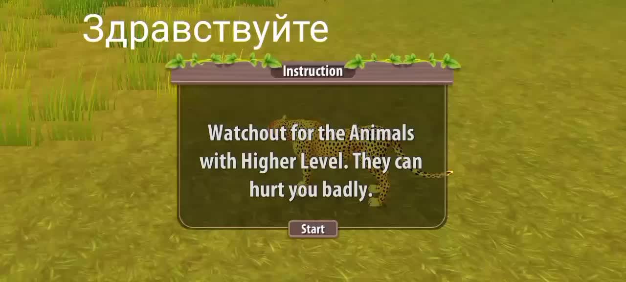 @OldGames (🦨💭)