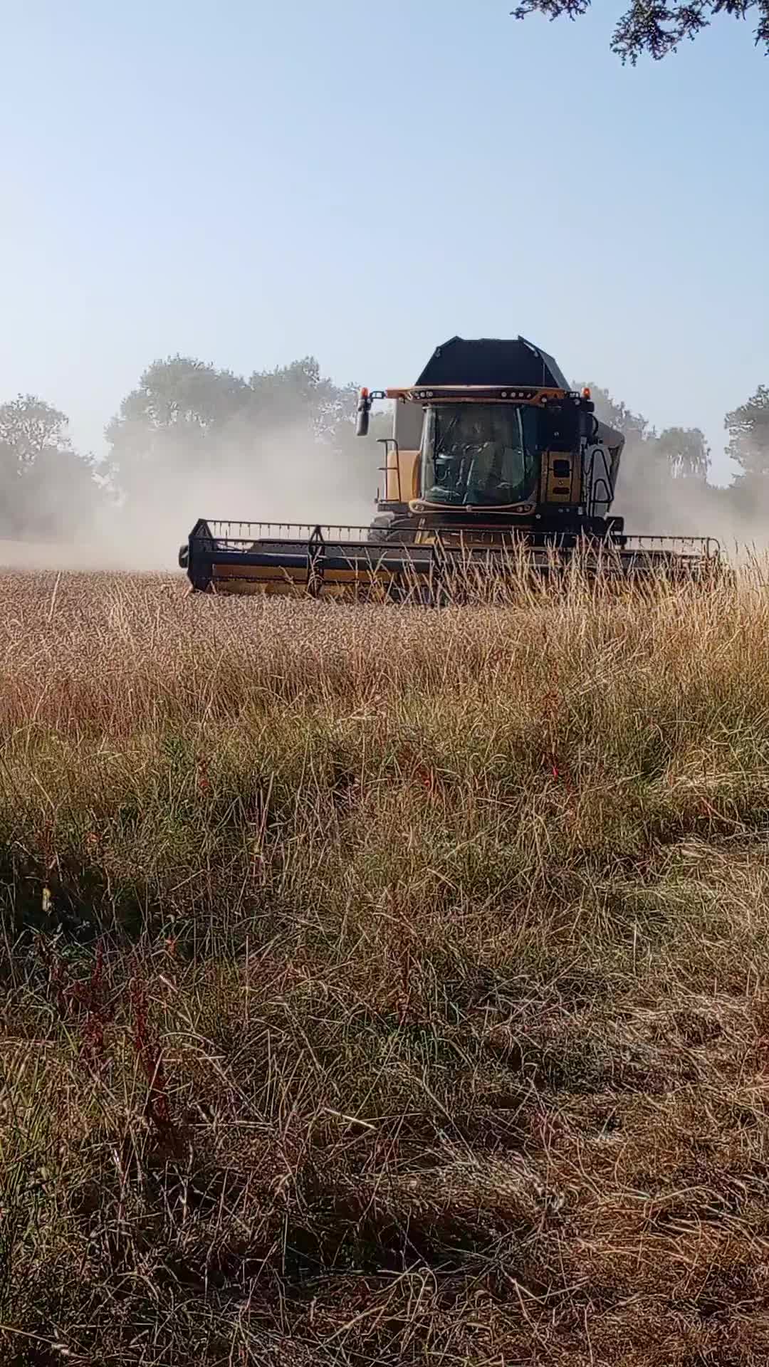 @agrigogsphotos