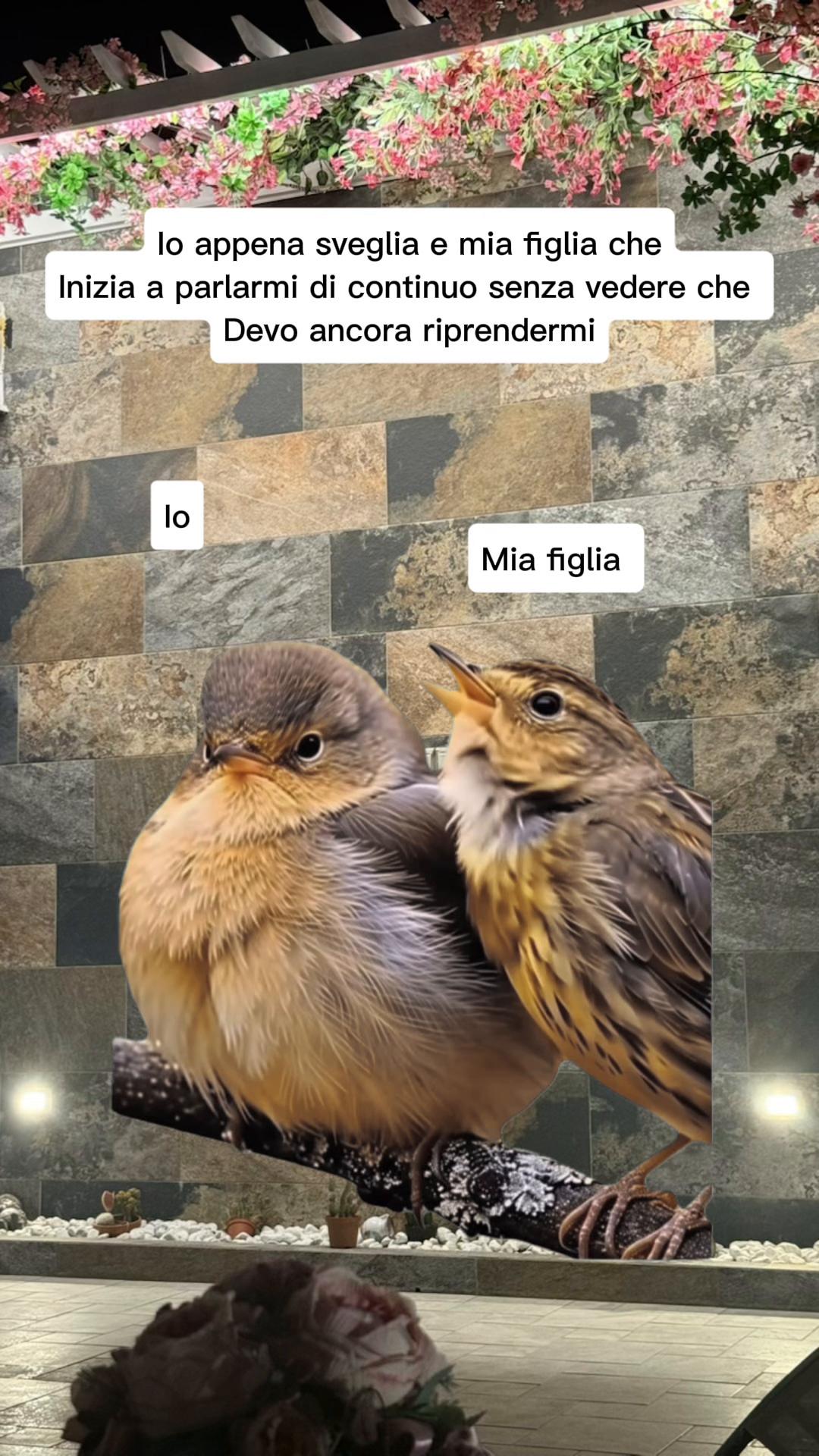 @Tonia